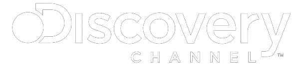discovery